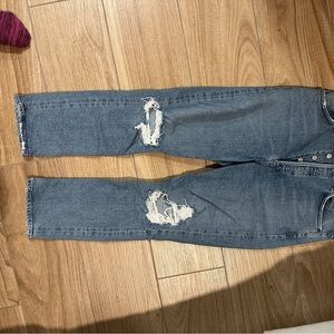 Agolde High Rise Jeans in Blue